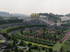 -东芭乐园