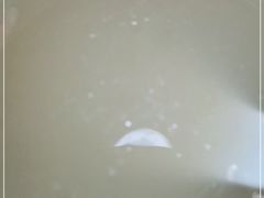 -柳州人田螺鸭脚煲(农院路1店)