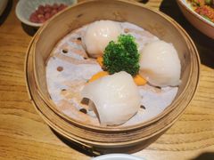 虾饺皇-潮粥荟·潮汕砂锅粥(朝阳大悦城店)