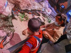 -沈阳海洋探索中心