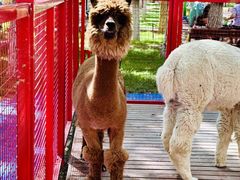 -水上乐园·欢乐世界