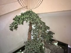 -北苑汤泉