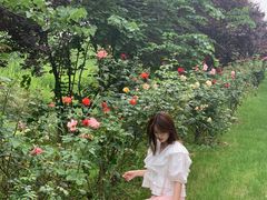 -南通洲际绿博园