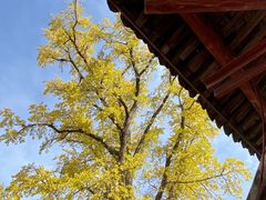-金堂县云顶石城风景区