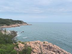 -广东惠东海龟国家级自然保护区