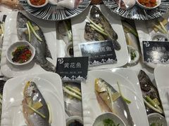 -初色海鲜自助(万丰路店)
