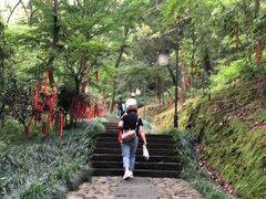 -梦姑塘文化公园