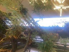 -潮上潮(南中环店)