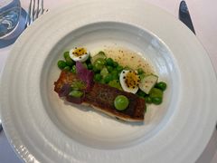 -蝶舍·MAISON PAPILLON