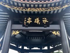 -野狸岛