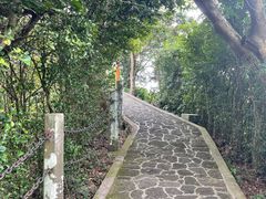-海口火山口国家地质公园