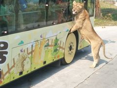 -西安秦岭野生动物园