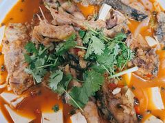 -煲来饱去冷水鱼