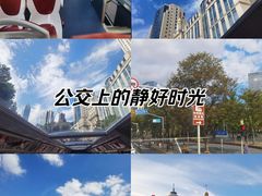-BUS TOUR观光巴士