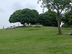 -红花山公园