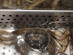 -金滏山烤肉·海鲜·火锅自助餐厅(襄阳万达店)
