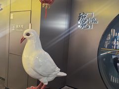 -琬苑鸽庄·川粤融合菜(解放碑总店)