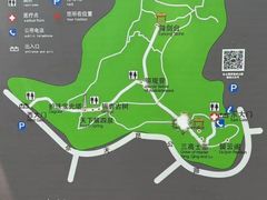 -上海佘山国家森林公园天马山园