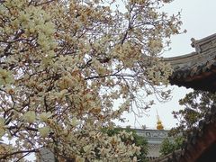 -龙华寺