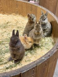 -Zoolung Zoolung动物主题公园(海信广场店)