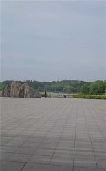 -吨儿熊自然探险乐园·儿童AR自然探索·家庭户外运动(奥林匹克森林公园店)