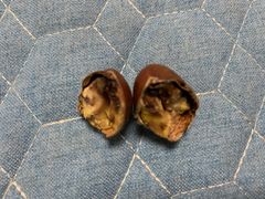 -阿男野栗王(金门路店)