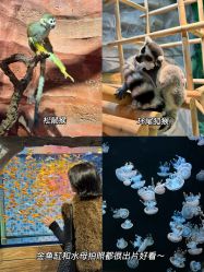 -Zoolung Zoolung动物主题公园(海信广场店)