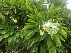 -瑰丽酒店·海吧·天际下午茶·现场DJ·天台酒吧