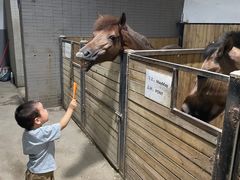 -李振强马术运动推广中心(南城店)