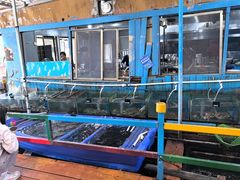 -蓝湾碧波·老字号·疍家非遗海上餐厅