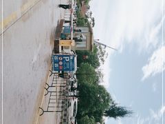 -广东惠东海龟国家级自然保护区