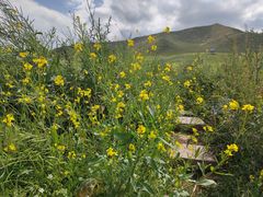 -扁都口生态休闲旅游区