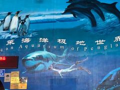 -蓬莱欧乐堡海洋极地世界