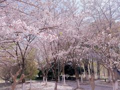 -江南大学(蠡湖校区)