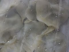 -七菜馆·东北菜·蒸饺(文体路店)