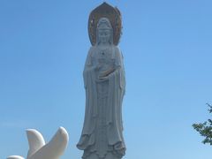 -金春禧(先天下店)