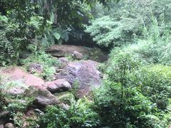 -赤水丹霞旅游区·佛光岩