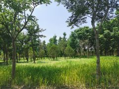 -上海山野camping·户外天幕烧烤·团建拓展营地