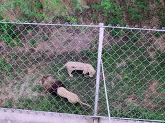 -石家庄市动物园