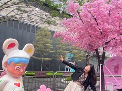 -东莞松山湖万象汇