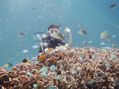 -槟城街头艺术街区