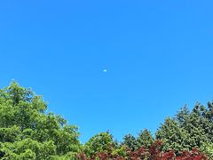 -四明山国家森林公园
