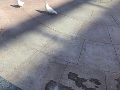 -中粮·祥云小镇