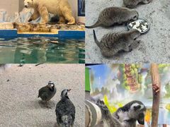 -大连圣亚海洋世界