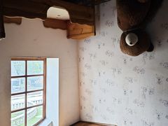 -金山农民画村-枫泾波兰倒置屋