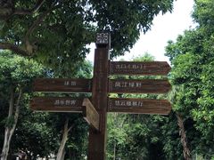 -南宁良凤江国家森林公园