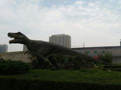 -陕西自然博物馆