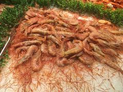 -好食代自助烤涮鲜切牛肉火锅