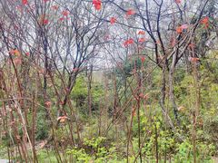 -白马涧龙池景区