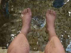 -中家鑫园温泉酒店鑫悦汤泉